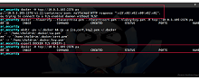 Docker 2375 端口入侵服务器-DockerInfo