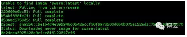 Swarm Create Output Example
