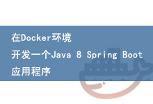 在Docker环境开发一个Java 8 Spring Boot应用程序-DockerInfo
